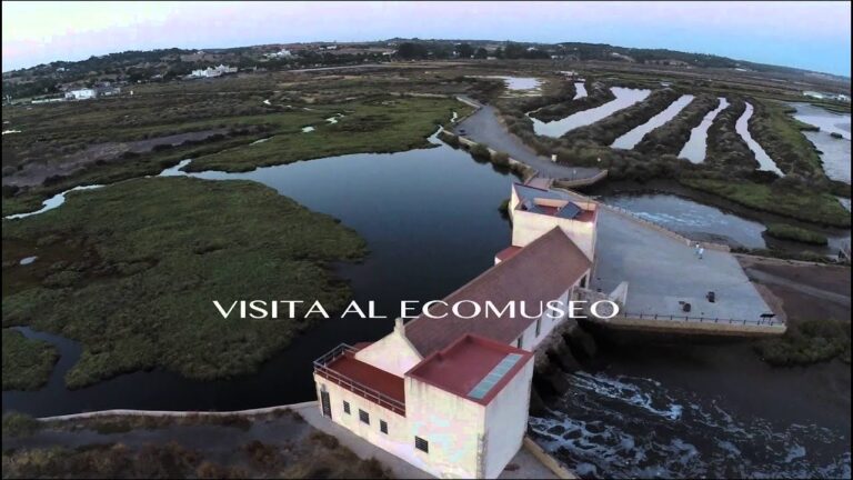Guía para Conseguir Entradas de Conciertos en Ayamonte