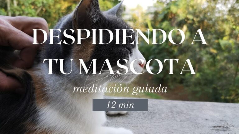 Mejores lugares para practicar yoga en Valverde del Camino