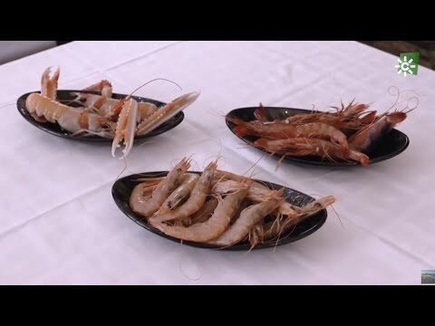 Mercados de Productos Frescos en Aracena